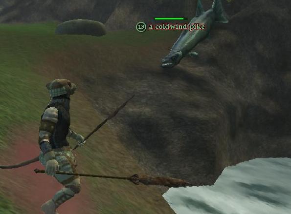 nkvsfishstance.jpg